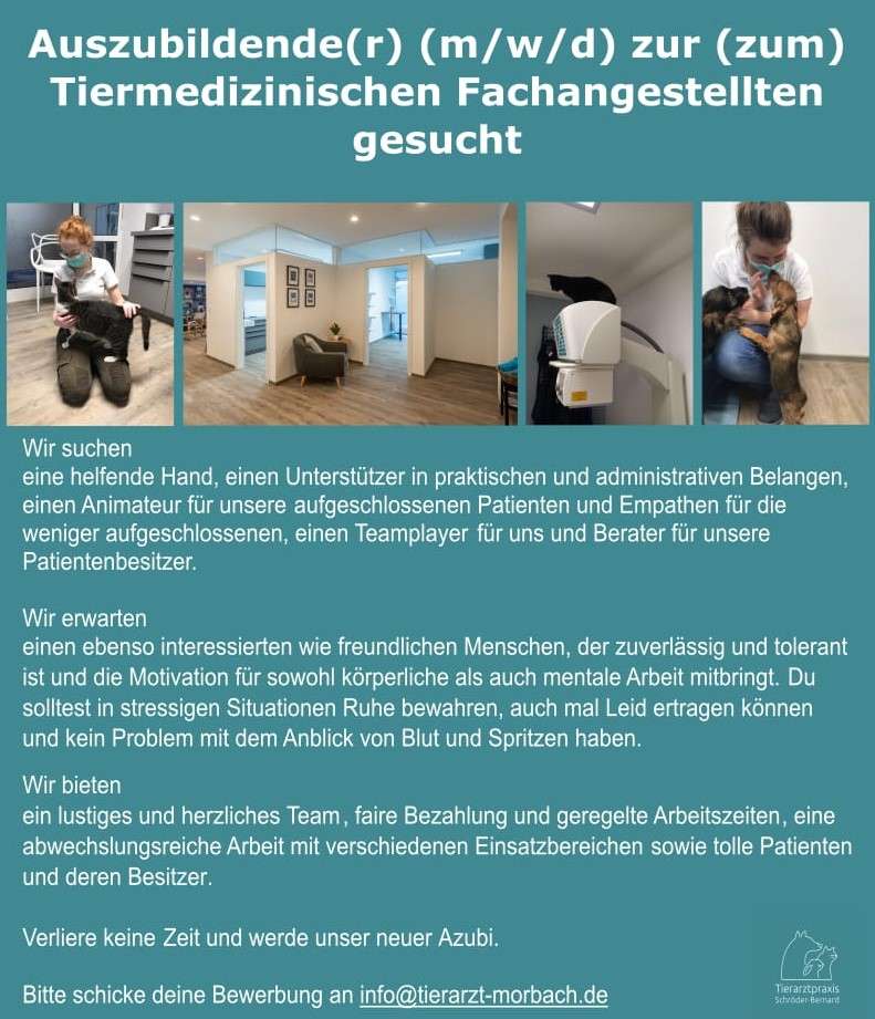 Auszubildende(r) (m/w/d) zur (zum)Tiermedizinischen Fachangestellten gesucht